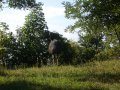 IMGP1128.JPG